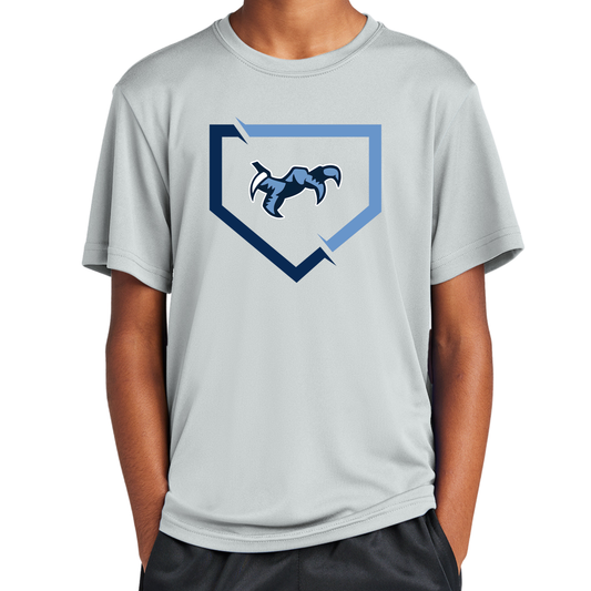 Chapin Baseball Plate Performance (Multiple Styles & Colors)