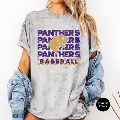 Checkered Panthers Baseball Colorblast Tee