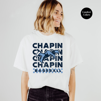 Checkered Chapin Baseball