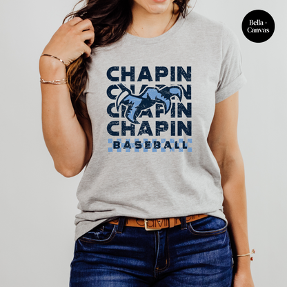 Checkered Chapin Baseball