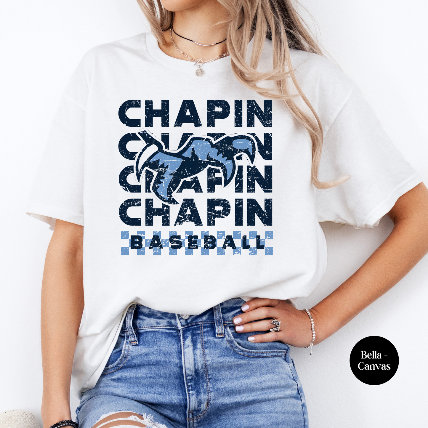 Checkered Chapin Baseball