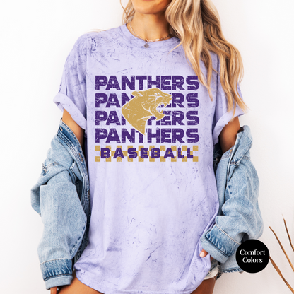 Checkered Panthers Baseball Colorblast Tee